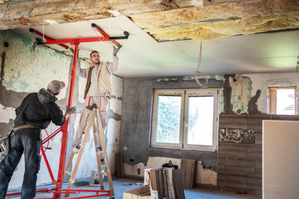 Best Insulation Maintenance and Repair in Harvard, NE