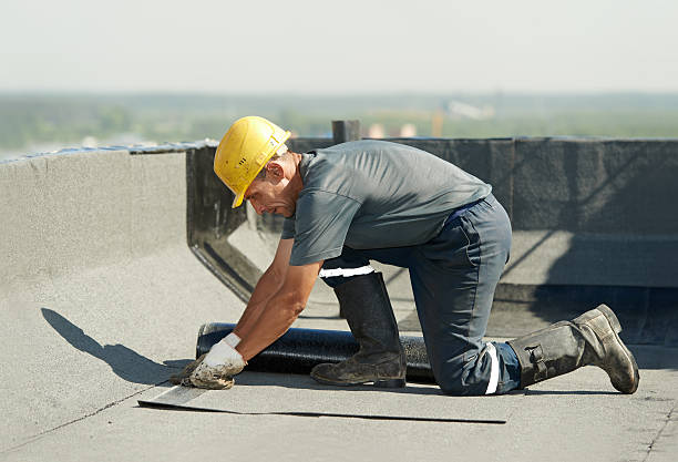 Best Insulation Installation Services in Harvard, NE
